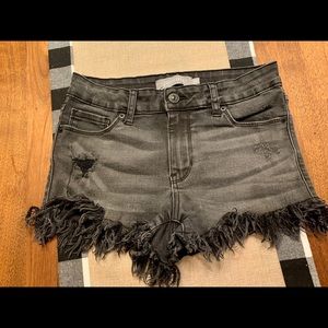 Just USA Black Denim Frayed Shorts Size XS